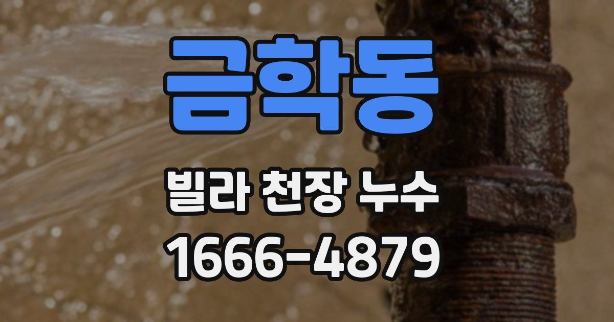금학동 빌라 천장 누수