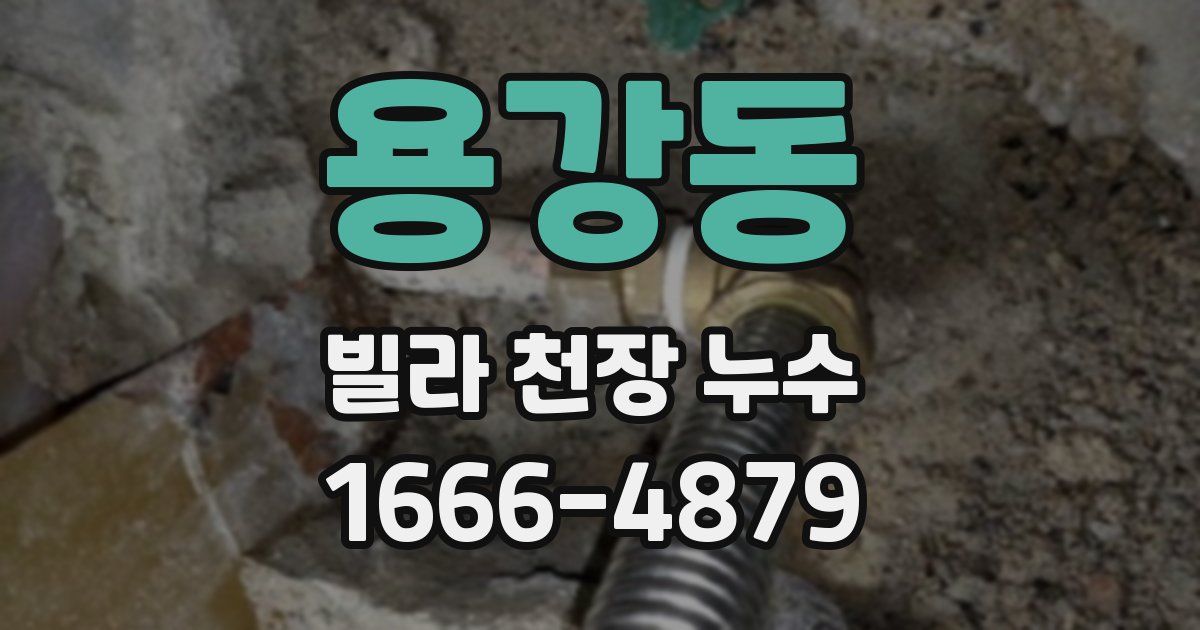 용강동 빌라 천장 누수