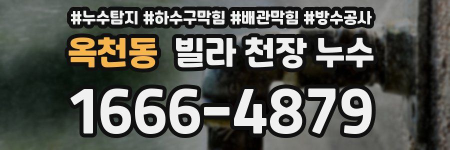 옥천동 빌라 천장 누수