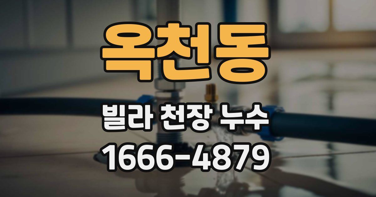 옥천동 빌라 천장 누수