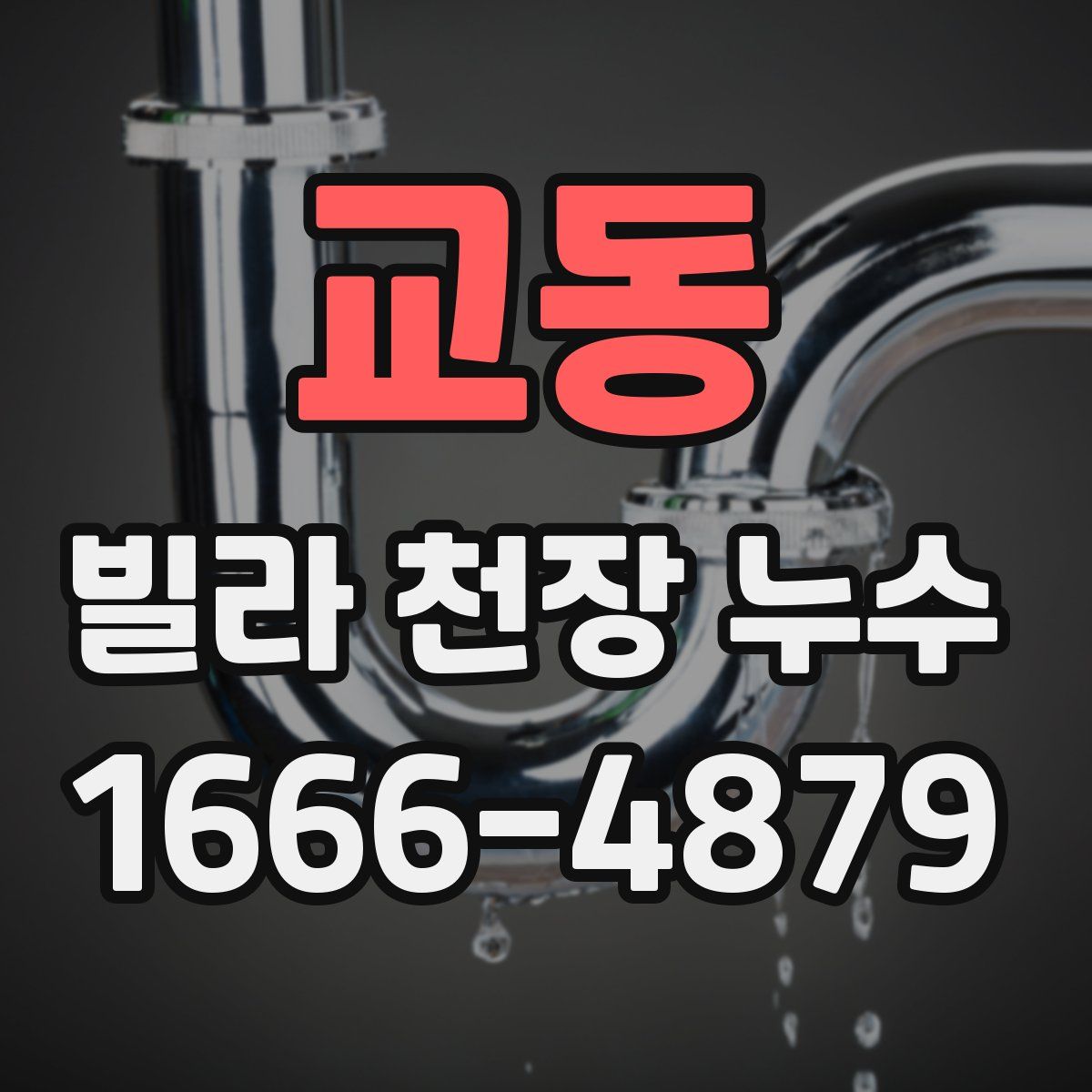 교동 빌라 천장 누수