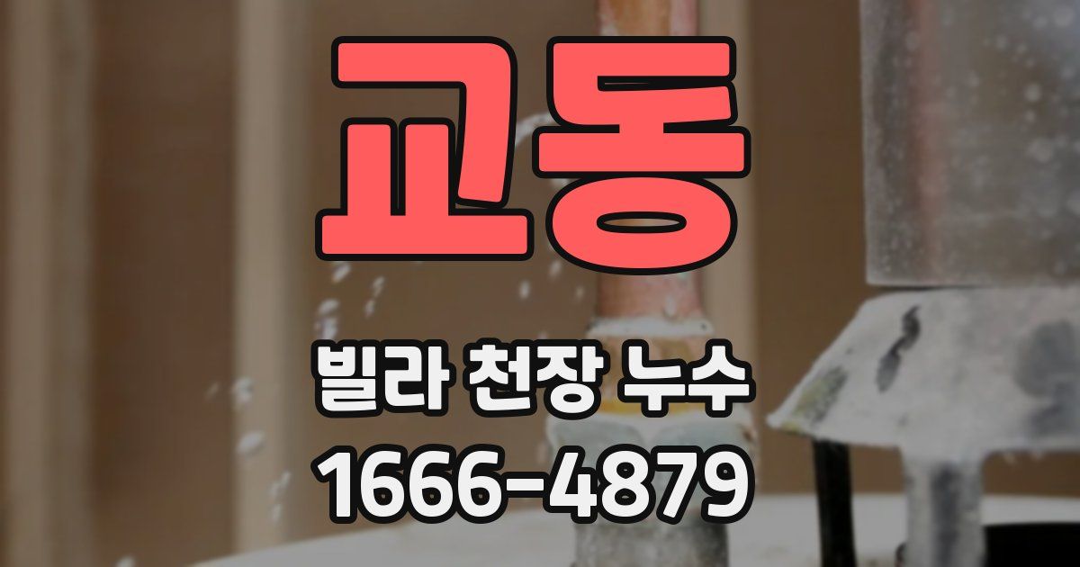교동 빌라 천장 누수