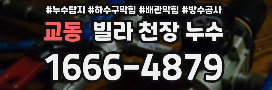 교동 빌라 천장 누수