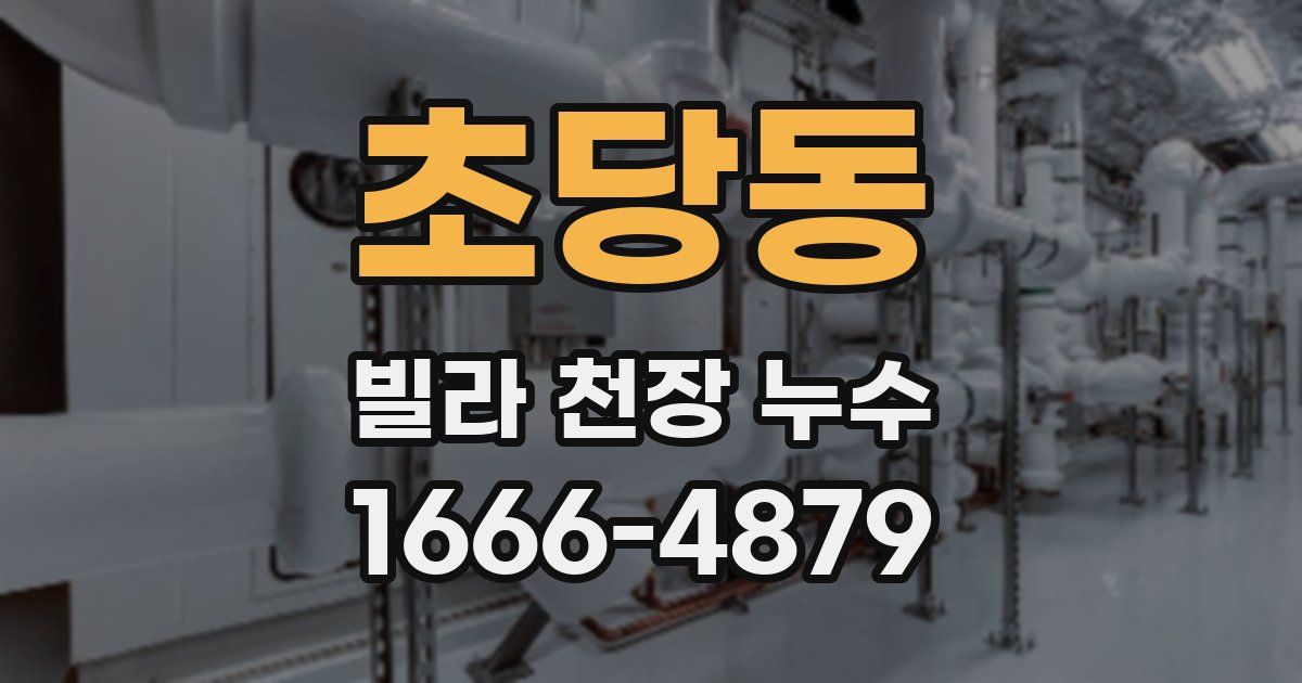 초당동 빌라 천장 누수