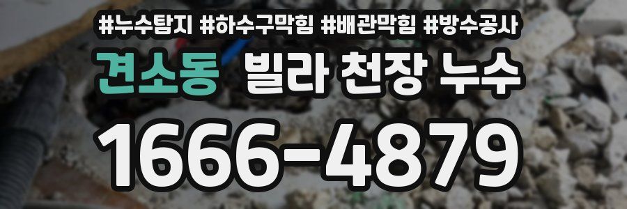 견소동 빌라 천장 누수