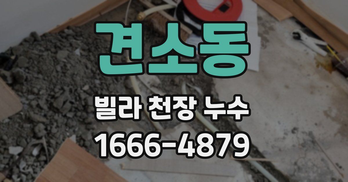 견소동 빌라 천장 누수