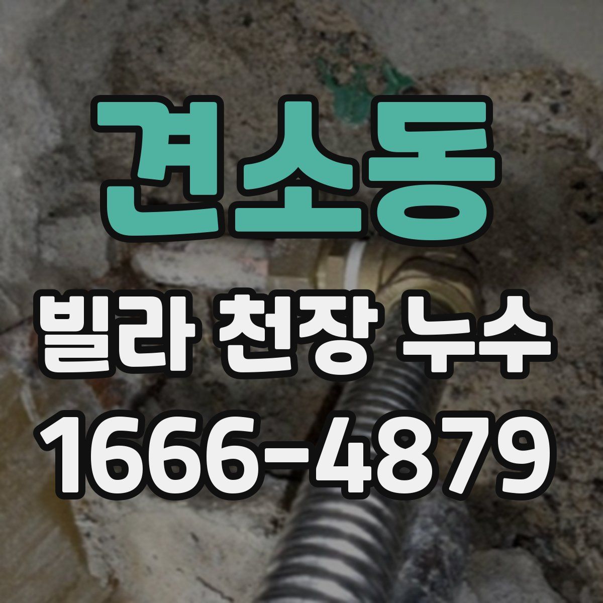 견소동 빌라 천장 누수