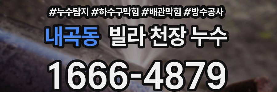 내곡동 빌라 천장 누수