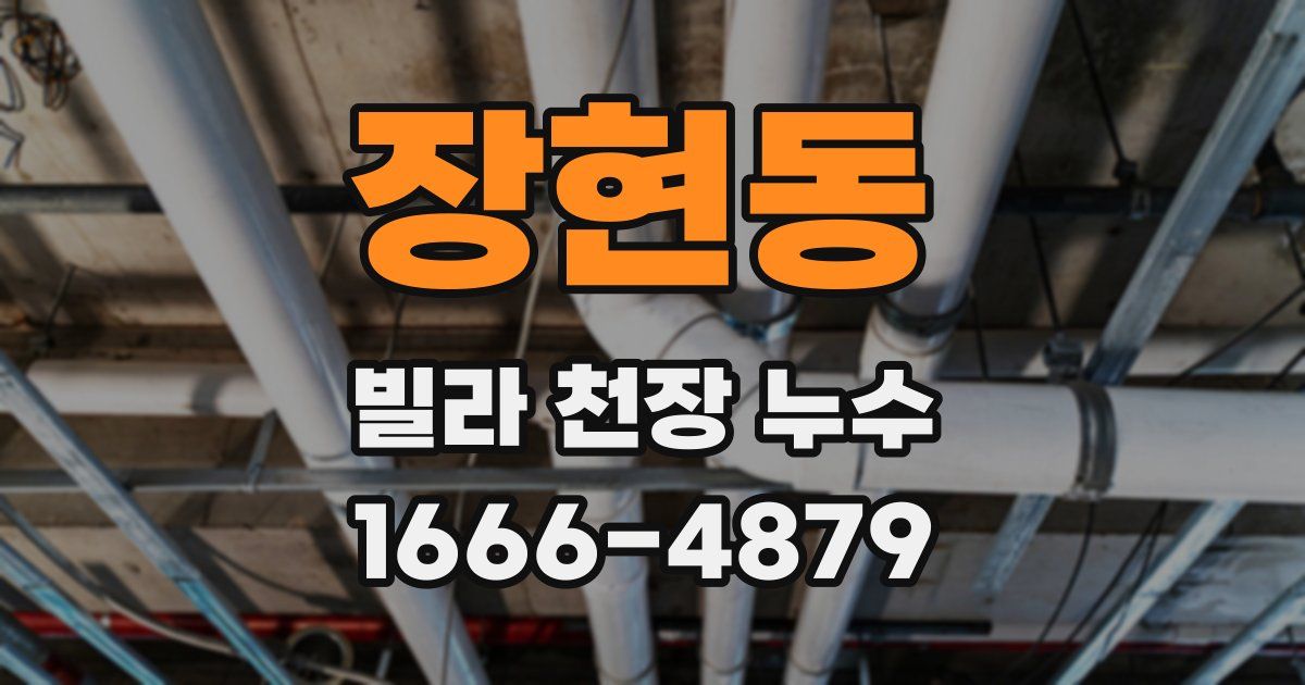장현동 빌라 천장 누수