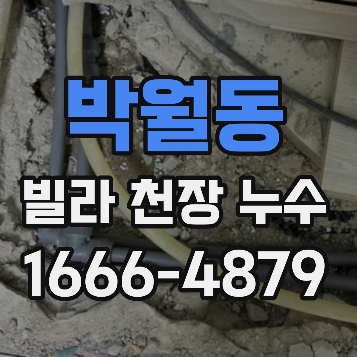 박월동 빌라 천장 누수