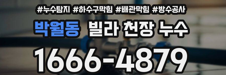 박월동 빌라 천장 누수