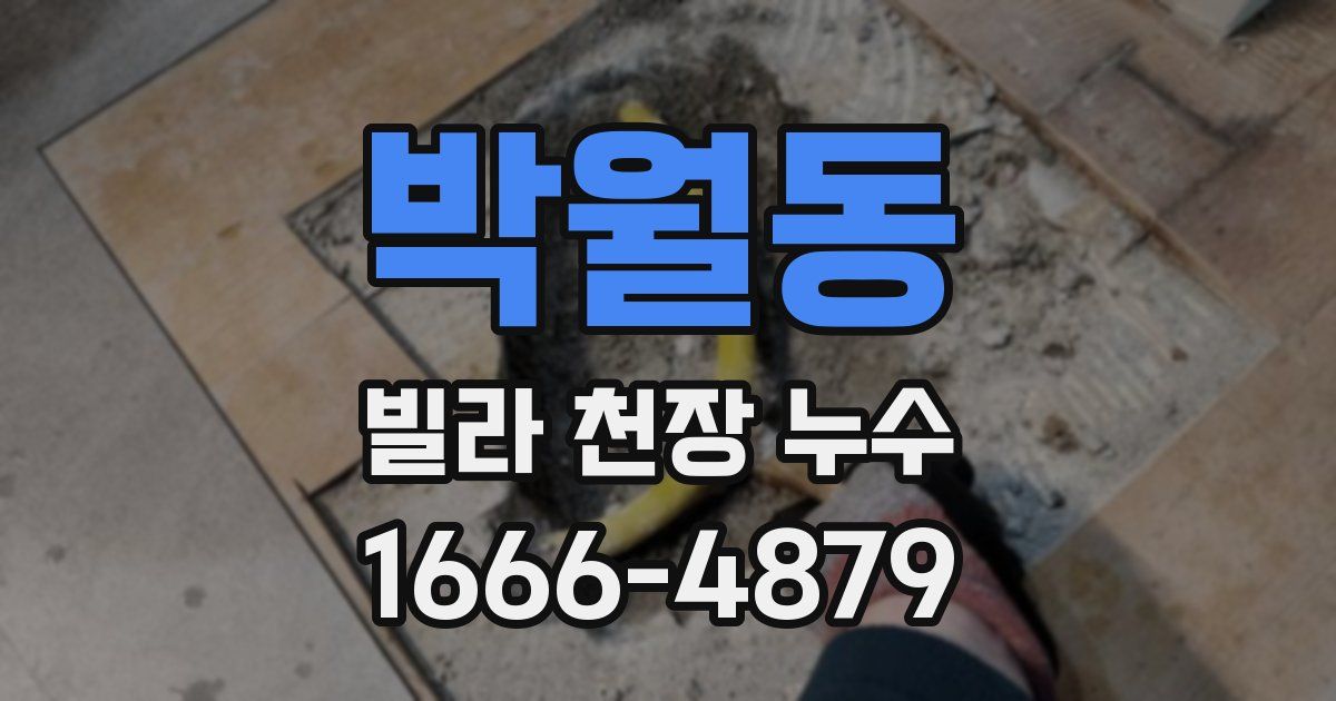 박월동 빌라 천장 누수