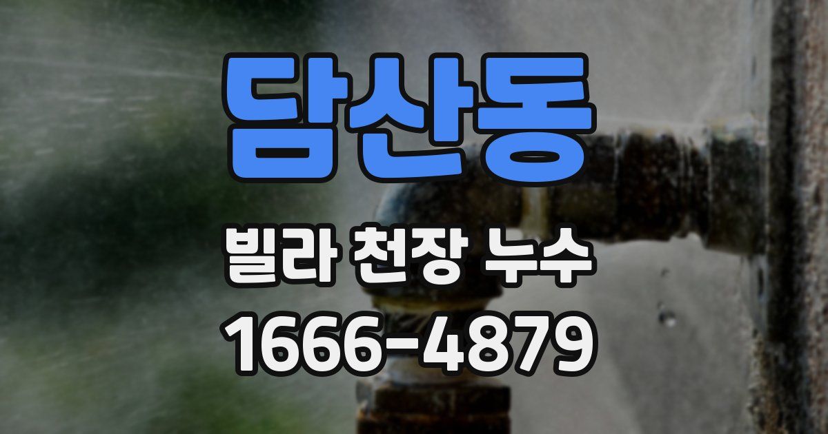 담산동 빌라 천장 누수
