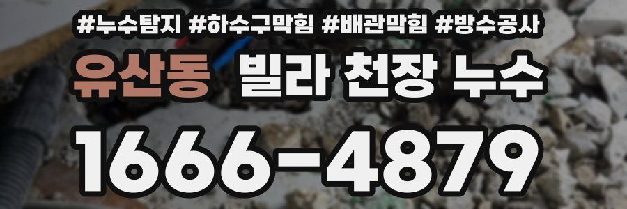 유산동 빌라 천장 누수