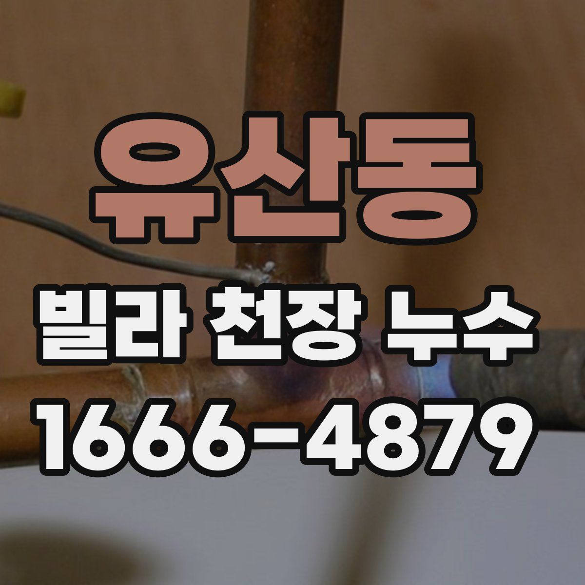 유산동 빌라 천장 누수