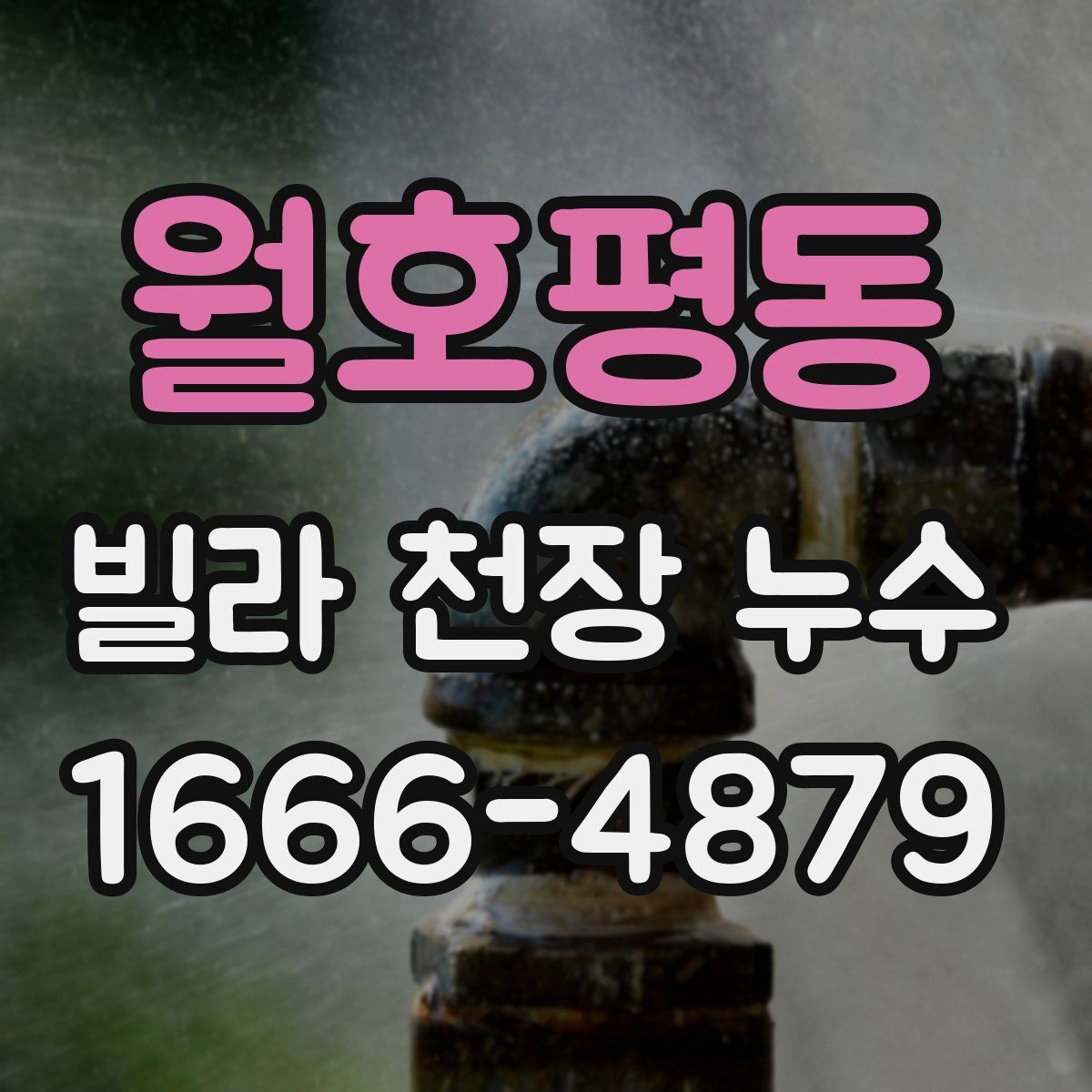 월호평동 빌라 천장 누수