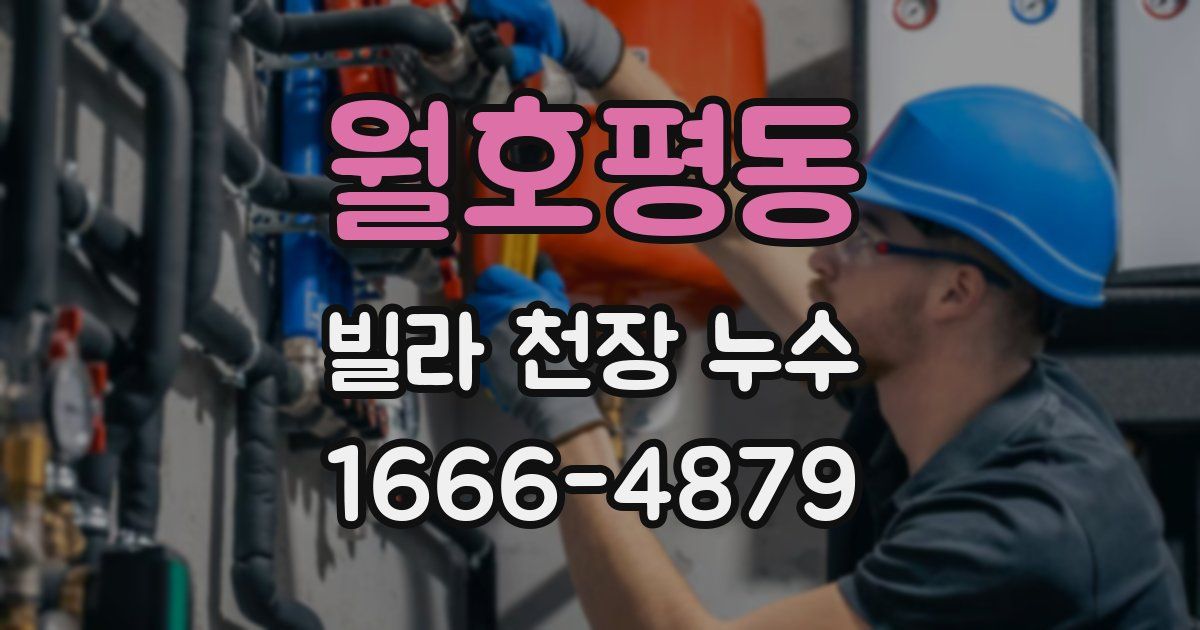 월호평동 빌라 천장 누수