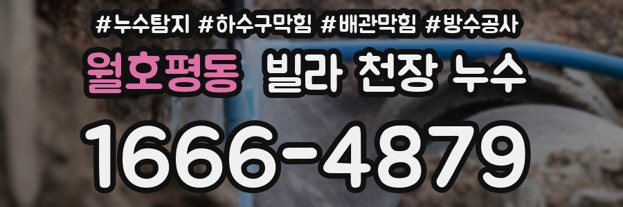 월호평동 빌라 천장 누수