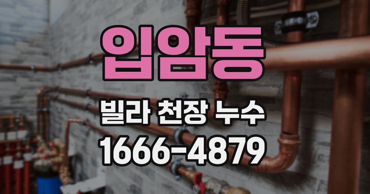 입암동 빌라 천장 누수