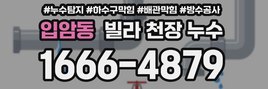 입암동 빌라 천장 누수