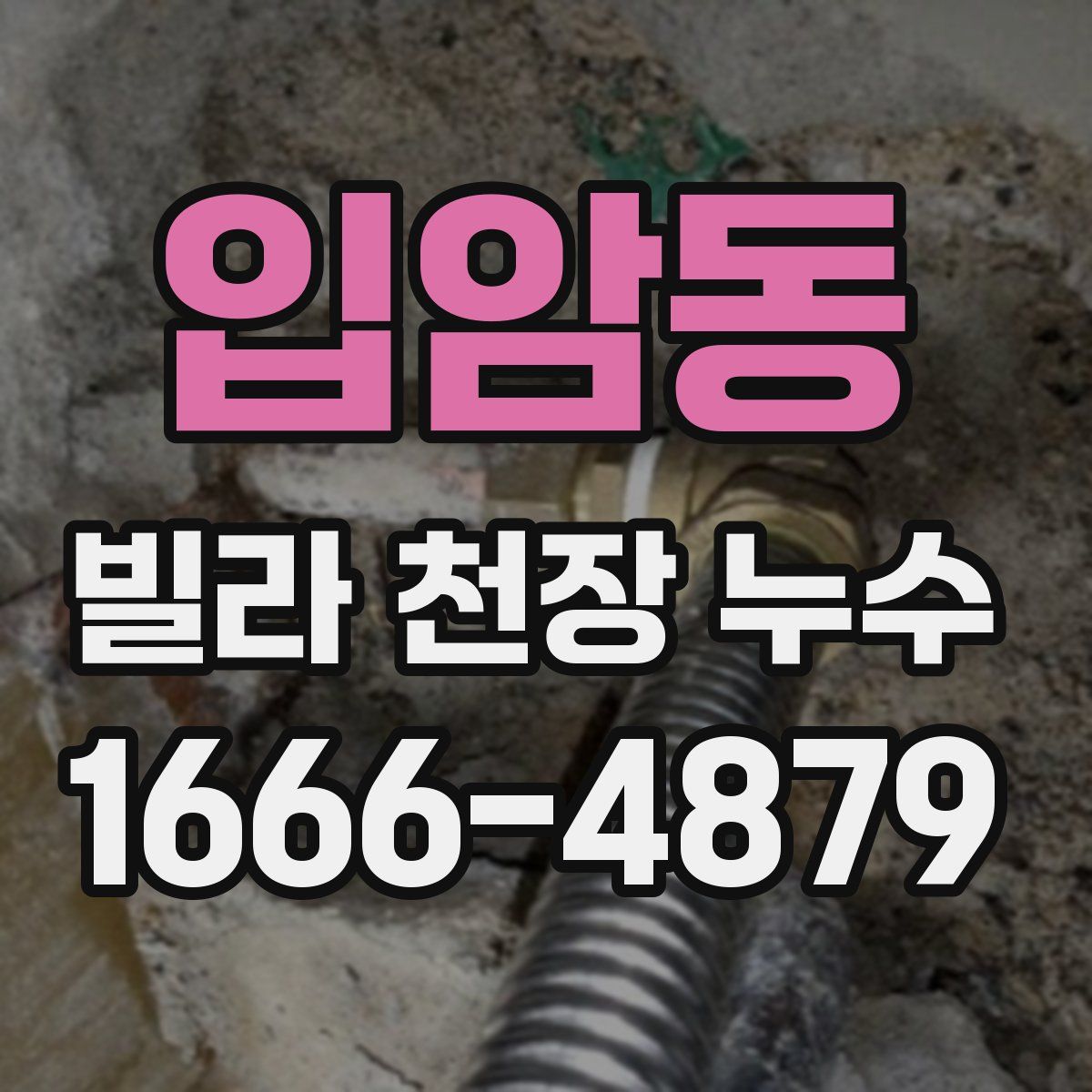 입암동 빌라 천장 누수