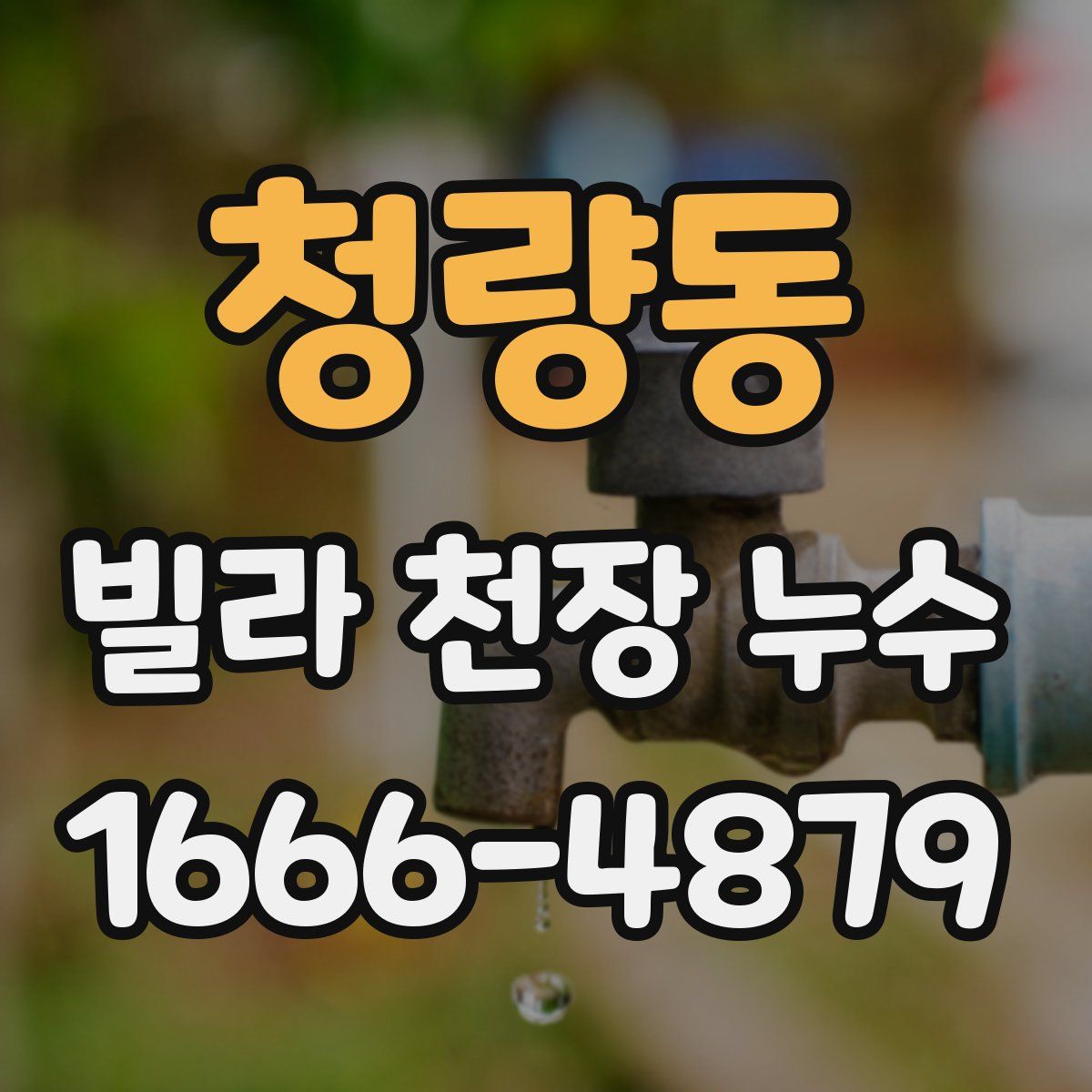 청량동 빌라 천장 누수