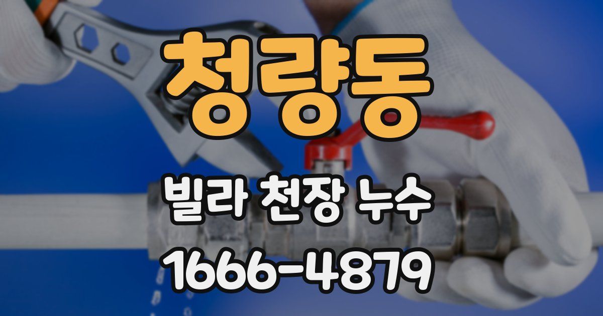 청량동 빌라 천장 누수
