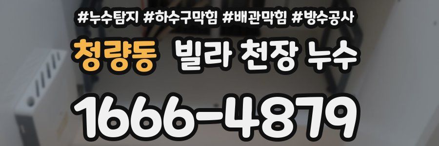 청량동 빌라 천장 누수