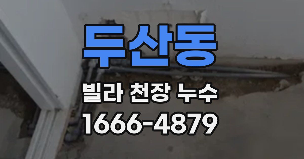 두산동 빌라 천장 누수