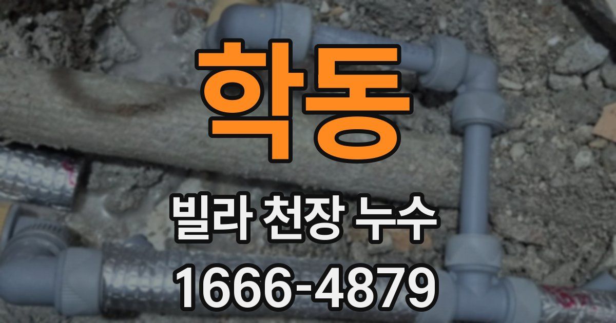 학동 빌라 천장 누수