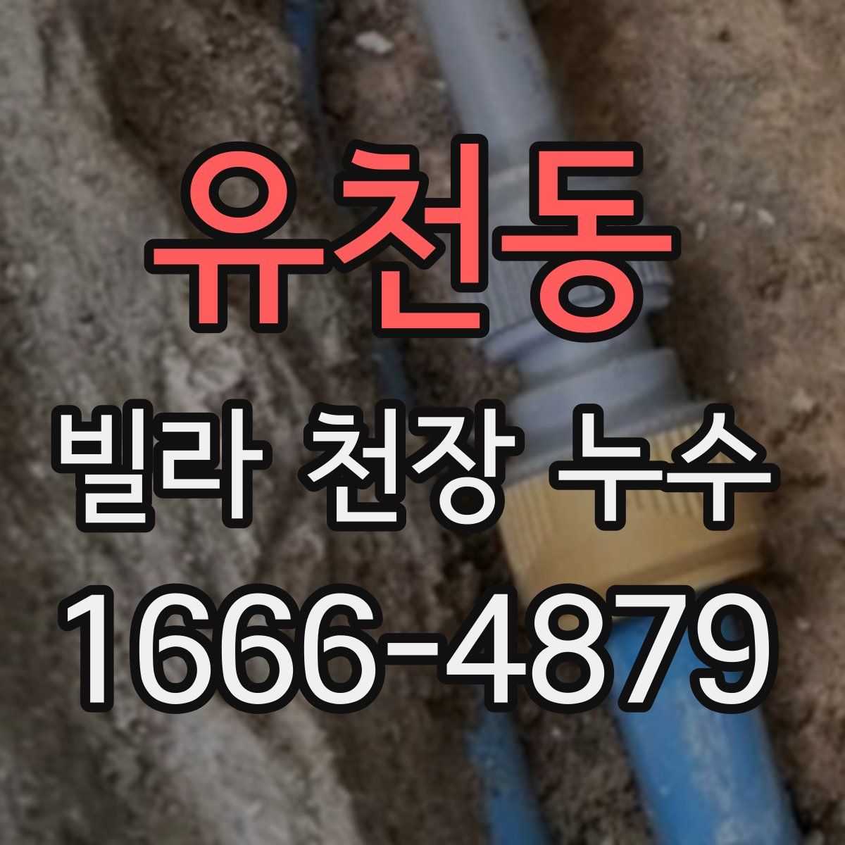 유천동 빌라 천장 누수