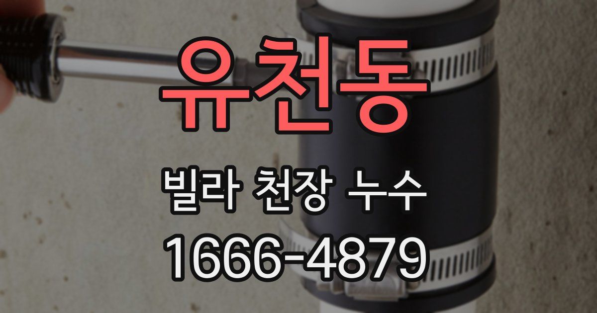 유천동 빌라 천장 누수