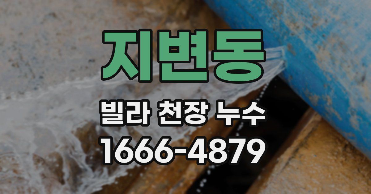 지변동 빌라 천장 누수