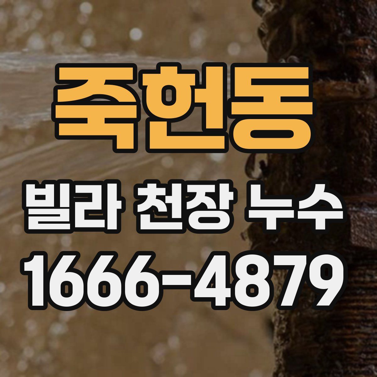 죽헌동 빌라 천장 누수