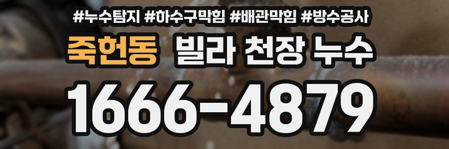 죽헌동 빌라 천장 누수