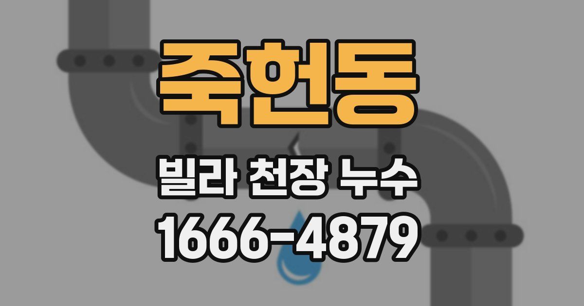 죽헌동 빌라 천장 누수