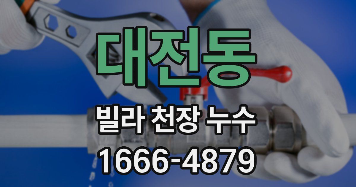 대전동 빌라 천장 누수