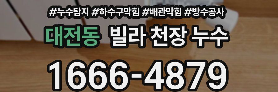 대전동 빌라 천장 누수