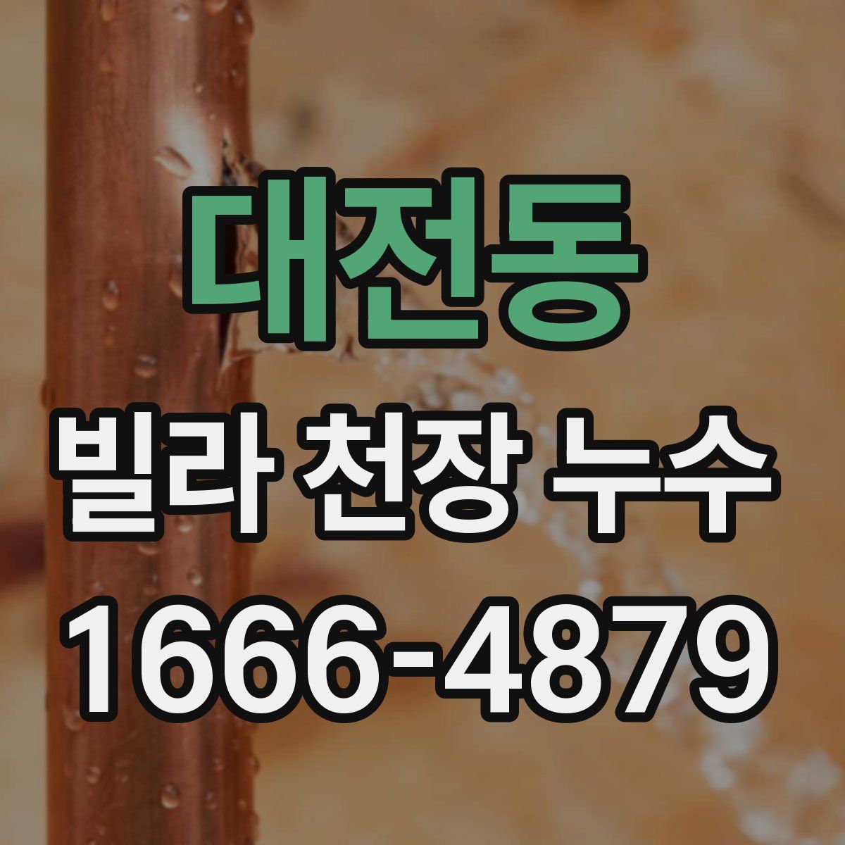 대전동 빌라 천장 누수
