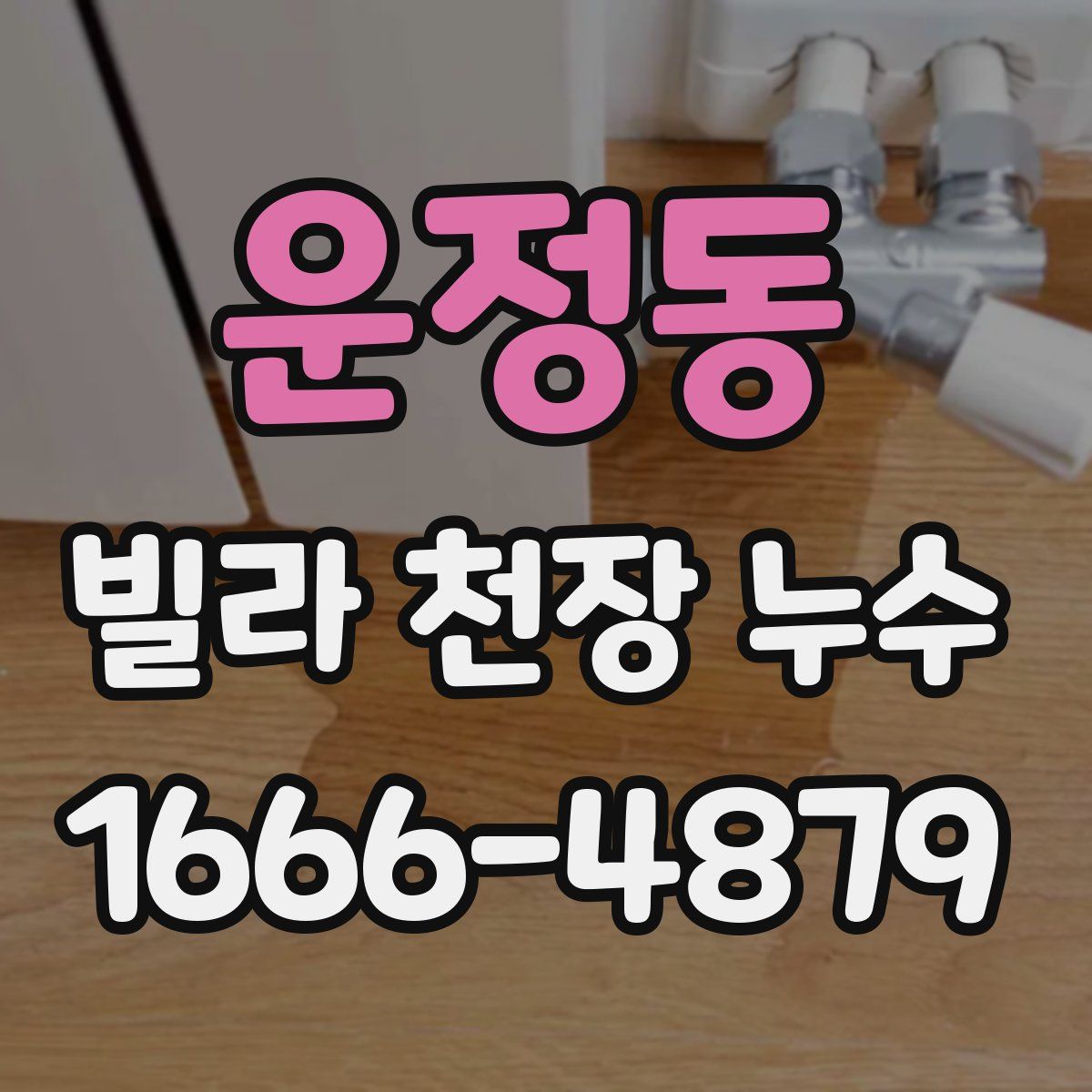 운정동 빌라 천장 누수