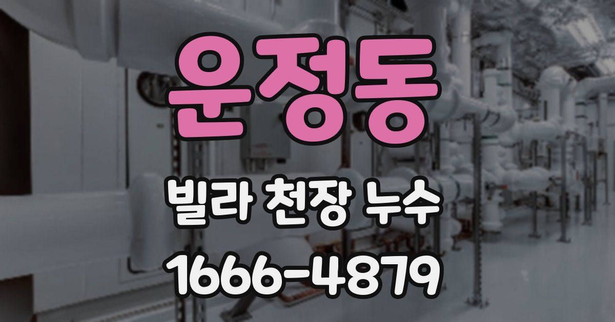 운정동 빌라 천장 누수