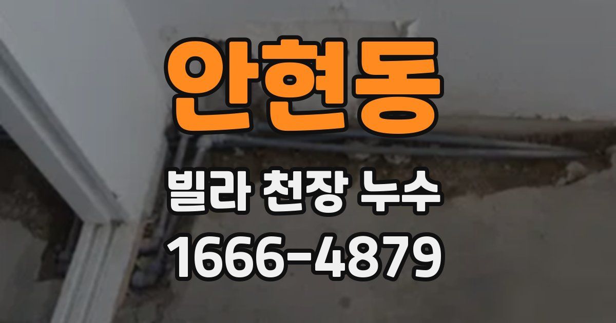 안현동 빌라 천장 누수