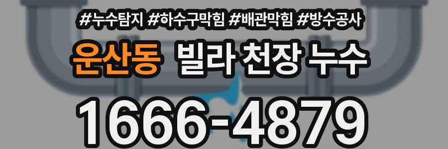 운산동 빌라 천장 누수