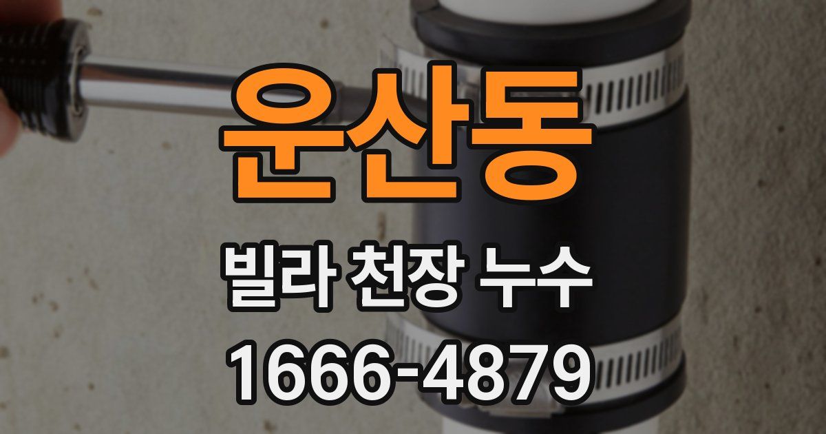 운산동 빌라 천장 누수