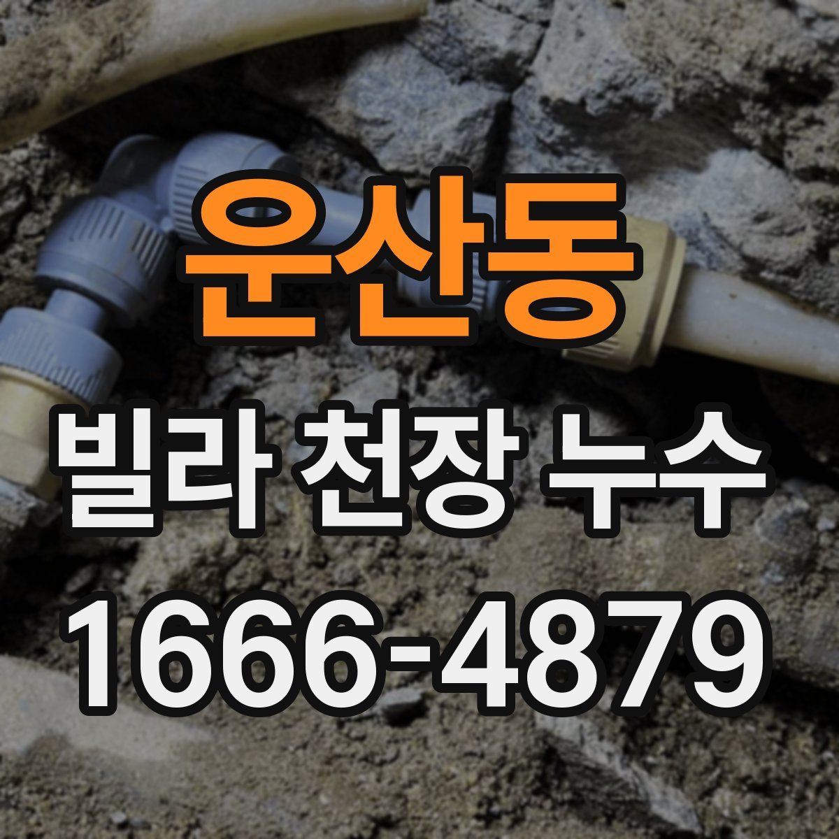 운산동 빌라 천장 누수
