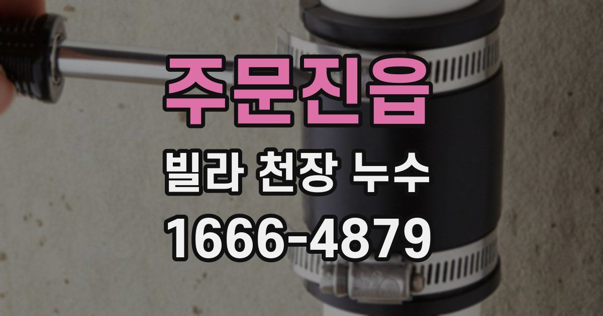주문진읍 빌라 천장 누수