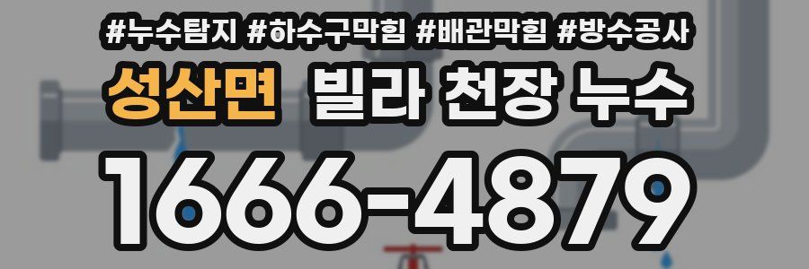 성산면 빌라 천장 누수