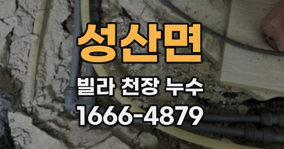 성산면 빌라 천장 누수