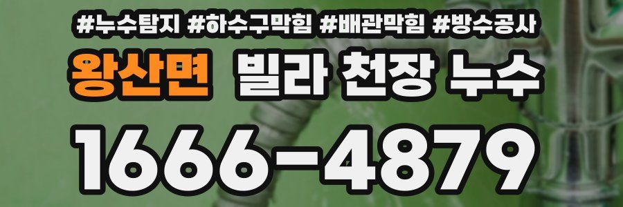 왕산면 빌라 천장 누수