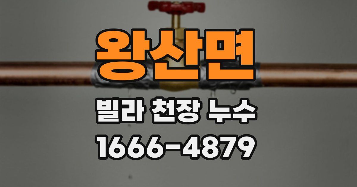 왕산면 빌라 천장 누수